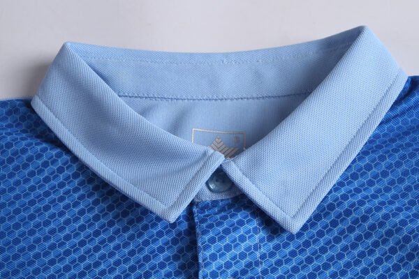 pl1008 - 图片 3